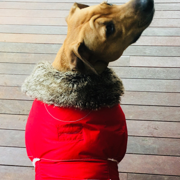 beaukit